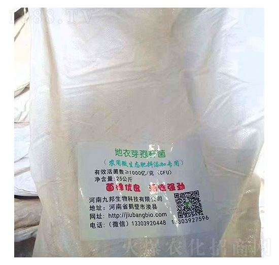 ����ѿ�ߗU��-�Ű�����