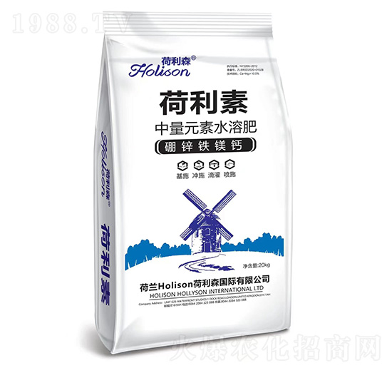 ���\�F�V�}-������-����