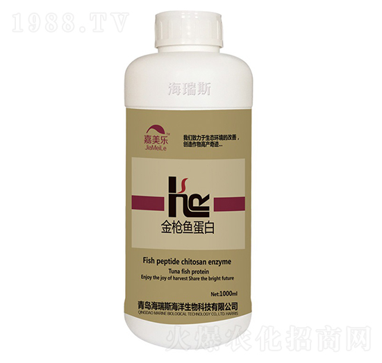 ���~����-������-����˹