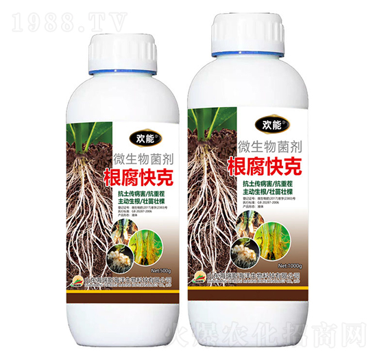 ΢�������-�������-�g��-����˹