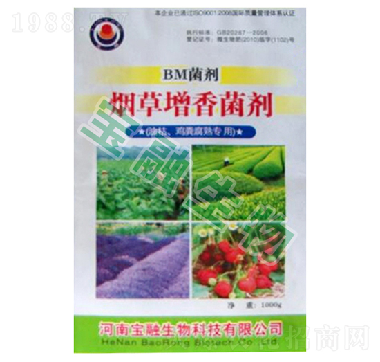 BM��������������Ϳݡ��u�S���ã�-��������