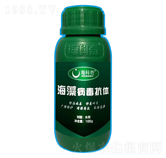 ���岡�����w-������