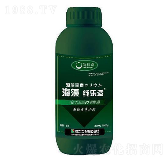 ���往��(l��)�m-������