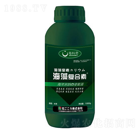 ����ͺ���-������