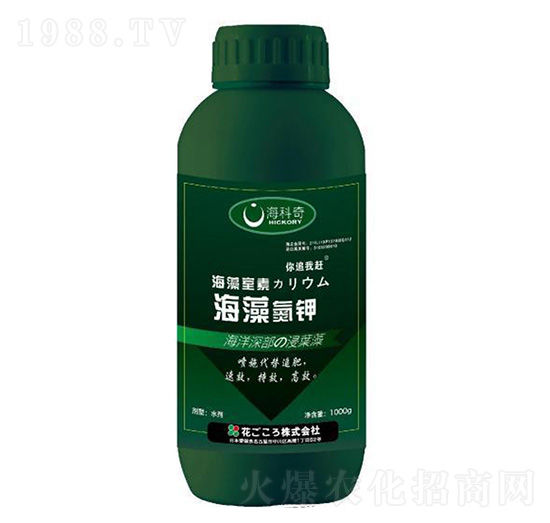 ���嵪�-������