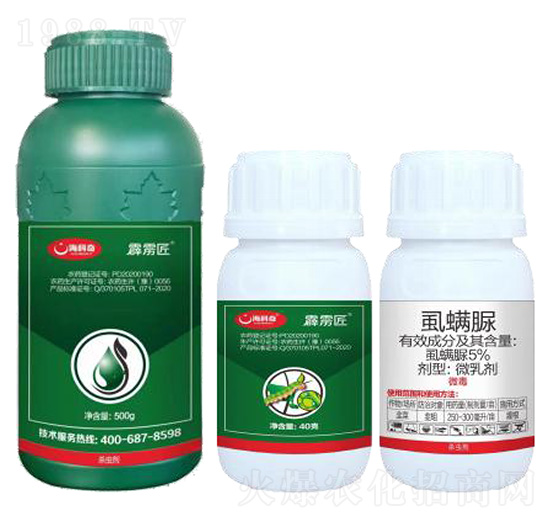 5%ʭ����-���Z��-������