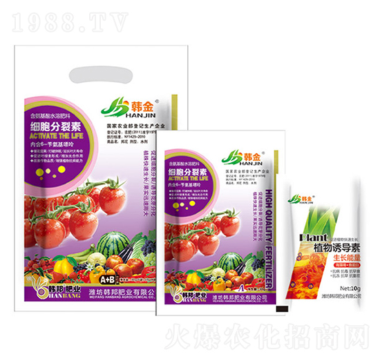 ��(x��)��������-�n��-�n��ʘI(y��)