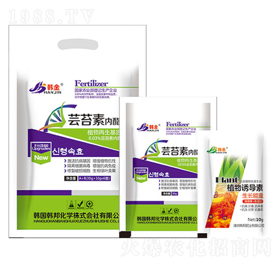 �|̦�؃�֬-�n��-�n��ʘI(y��)