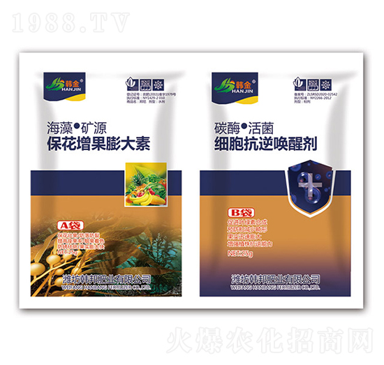 �������������-�������憾�ф�-�n��-�n��ʘI(y��)