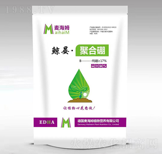 �L�̡��ۺ���-����ķ