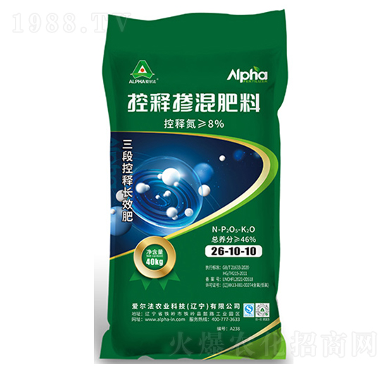 ��ጓ������26-10-10-�۠���