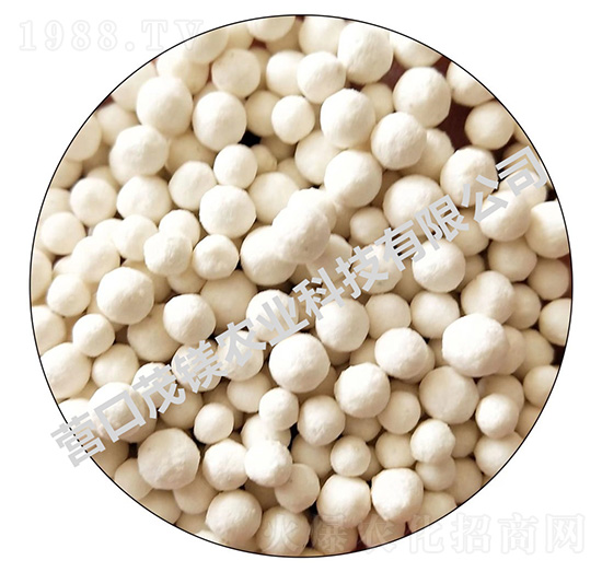 �}�V�F�\���w��-ï�V�r(n��ng)�I(y��)