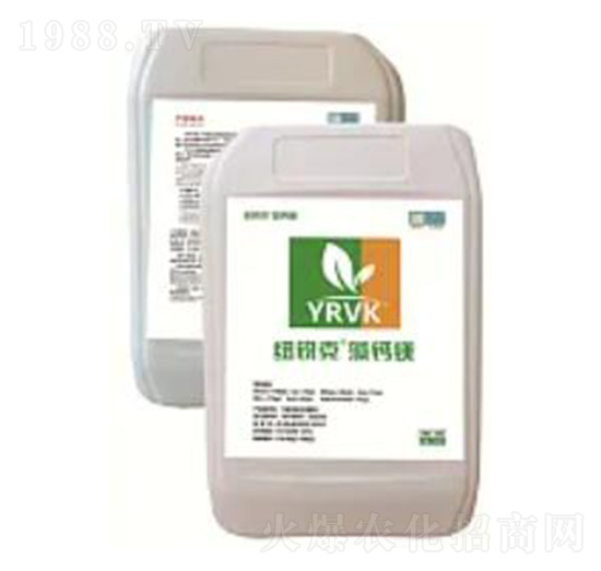 ���巀(w��n)���B(t��i)�}�V��-��ͫ����