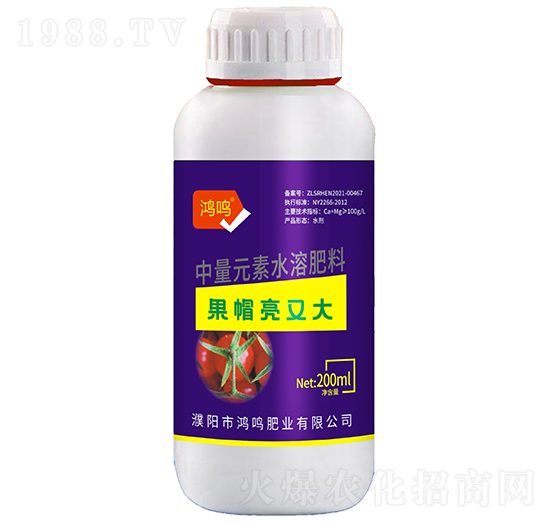 ��ñ���ִ�-���Q