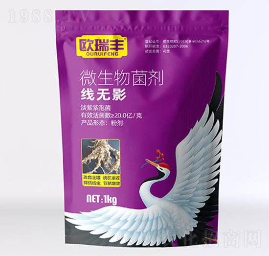 ΢�������-���oӰ-�W���S