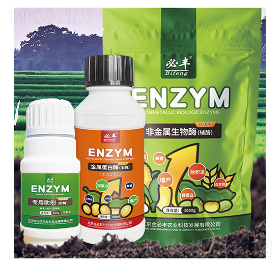 ���ٵ���ø-����S