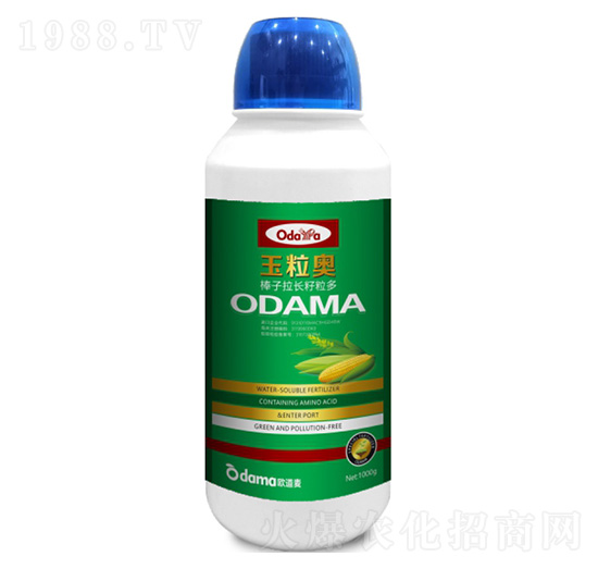 �����W-�������L������-�W����