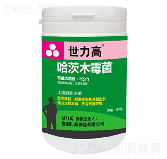 ����ľù��-����������