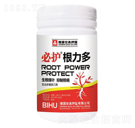 ���o������-����������