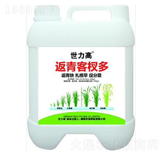 ������Y��-����������