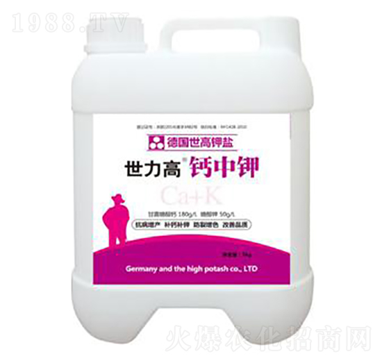 �}���-����������