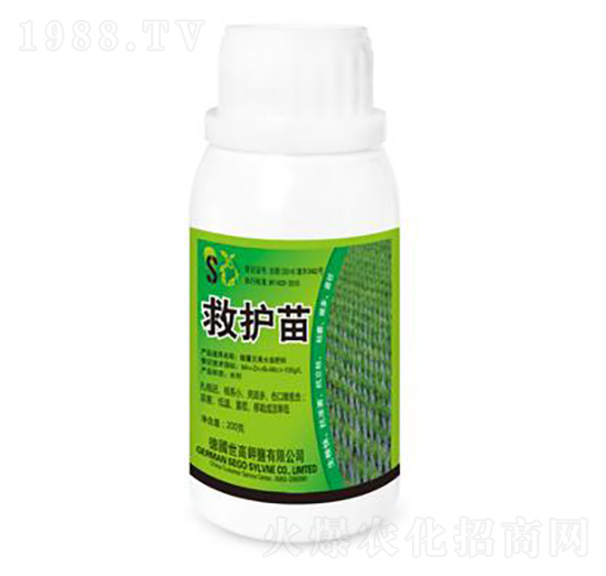 ���o��-����������