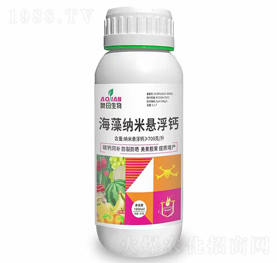 ����{�בҸ��}-�W������