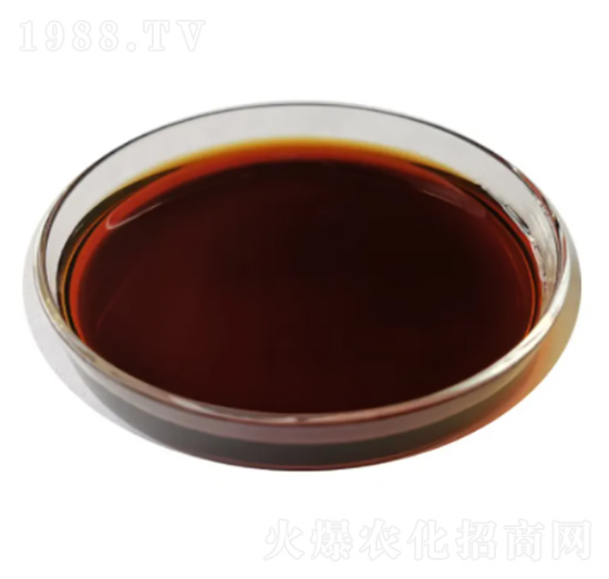 ������-��̩����