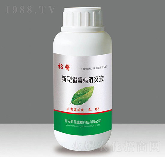 ̧��-�����A