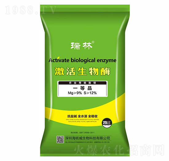 ��������ø-����-���������