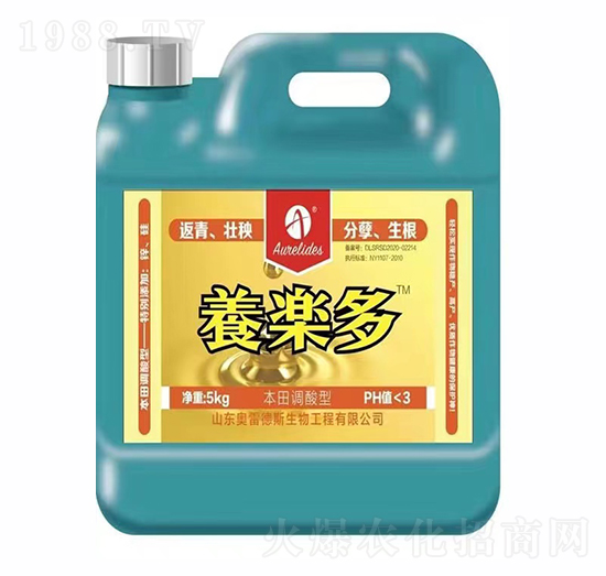 5kg���w����-�B(y��ng)����-�W�׵�˹