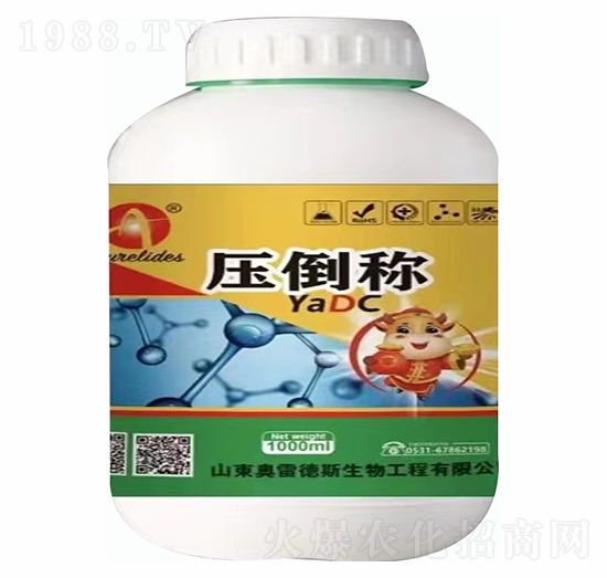 �����Q-�W�׵�˹