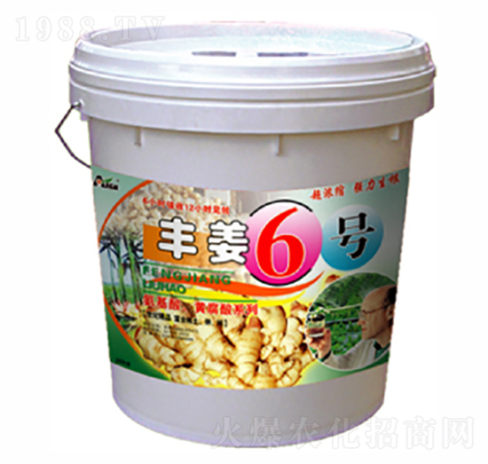 ��ֲ����-�S��6̖-������