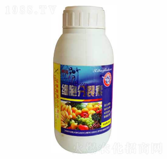 ��(x��)��������-������