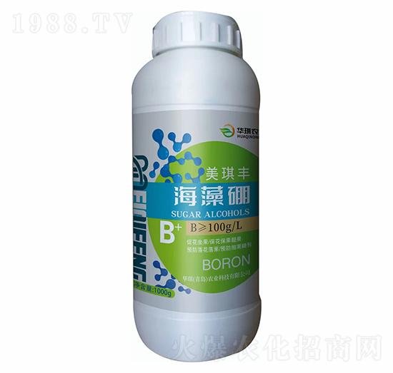 ������-�����S-�A��