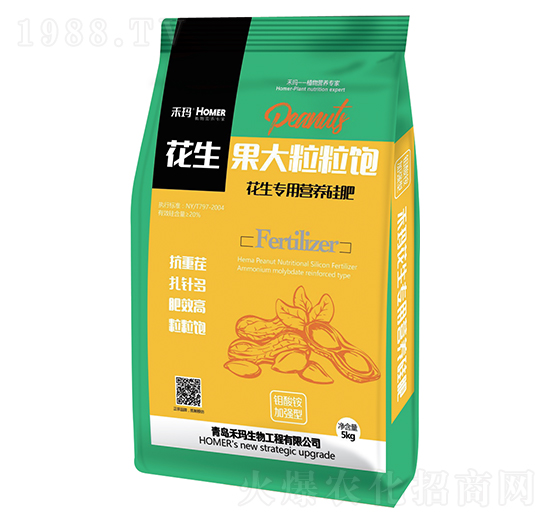 �������������-�̬�����