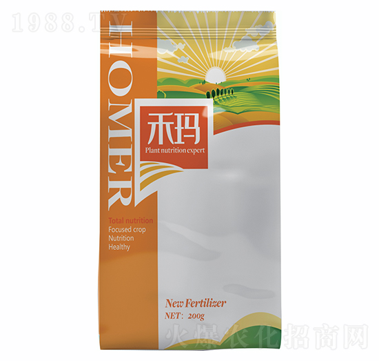 �n��������-�̬�����