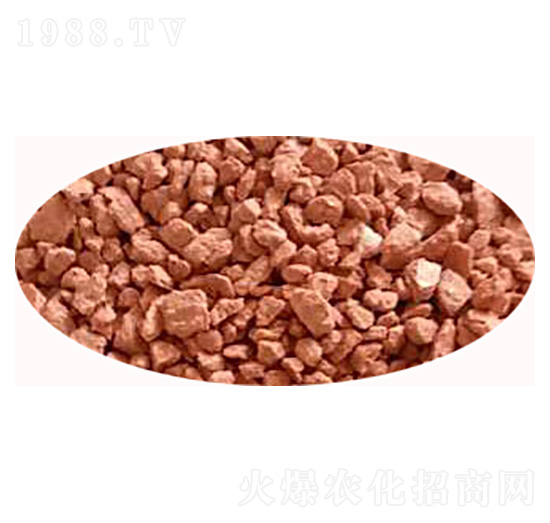 �����{�턩-���S