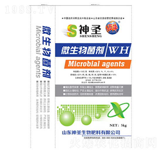 ΢�������-��ʥ����