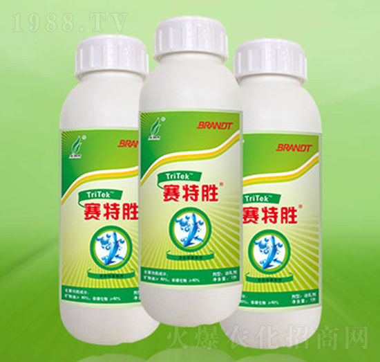 �r�Ç��F����-ِ�؄�-�º��S