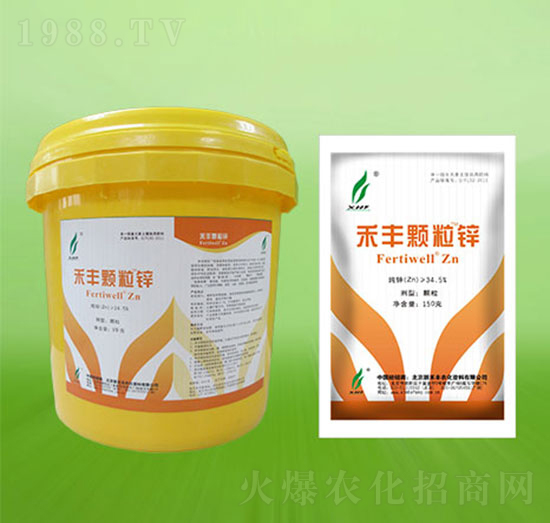 ���S�w���\-�º��S