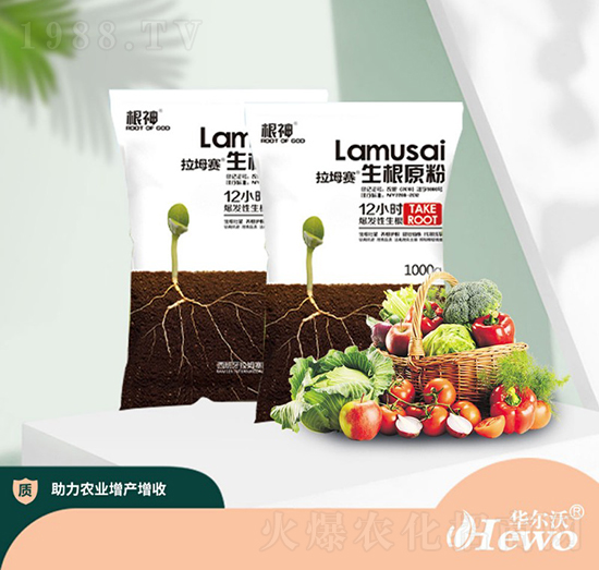 ����ԭ��-�A����