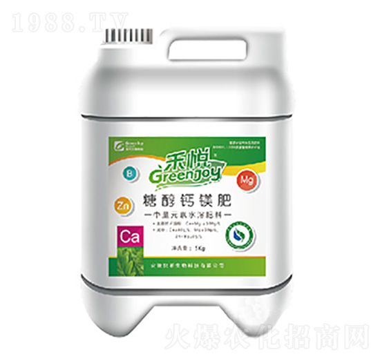 �Ǵ��}�V��-�̐�-��������