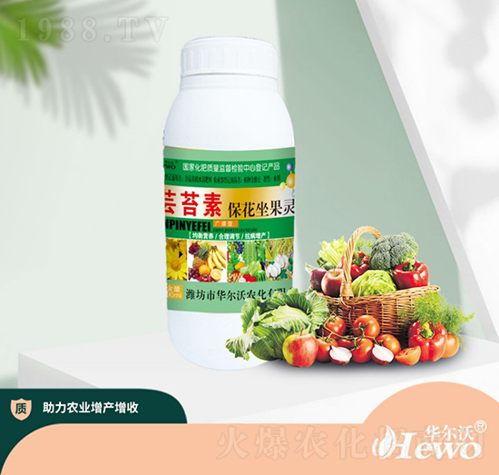 �|̦�ر��������`-�A����