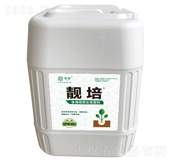 ������΢�������-�n��-���R����