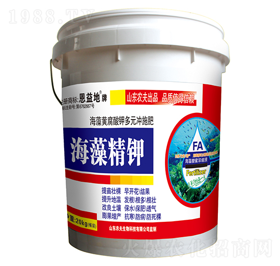 ���徫�-�����-�r(n��ng)������