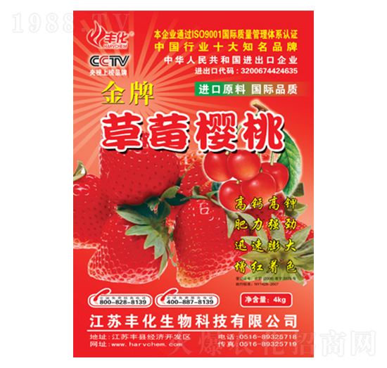 ��ݮ���Ҍ��÷�-�S��