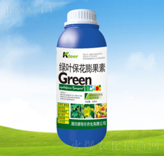 �G�~���������-���ؠ��r��