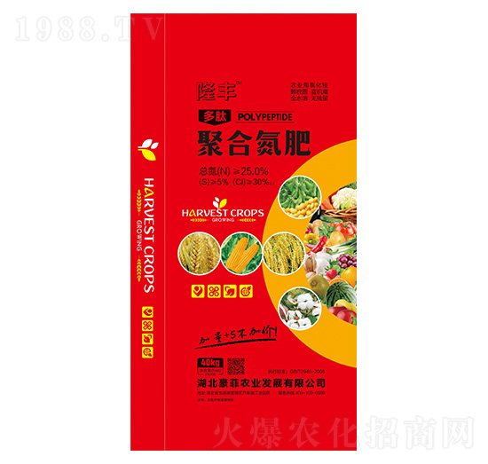 ���ľۺϵ���-��¡�S