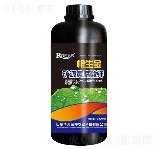 �VԴ�S�����-������-��(r��n)��փ�(y��u)-�A��(r��n)�s��